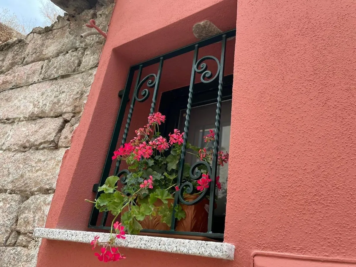 Apartamento Genius Loci Cozy House With Garden In The Old Town Olbia