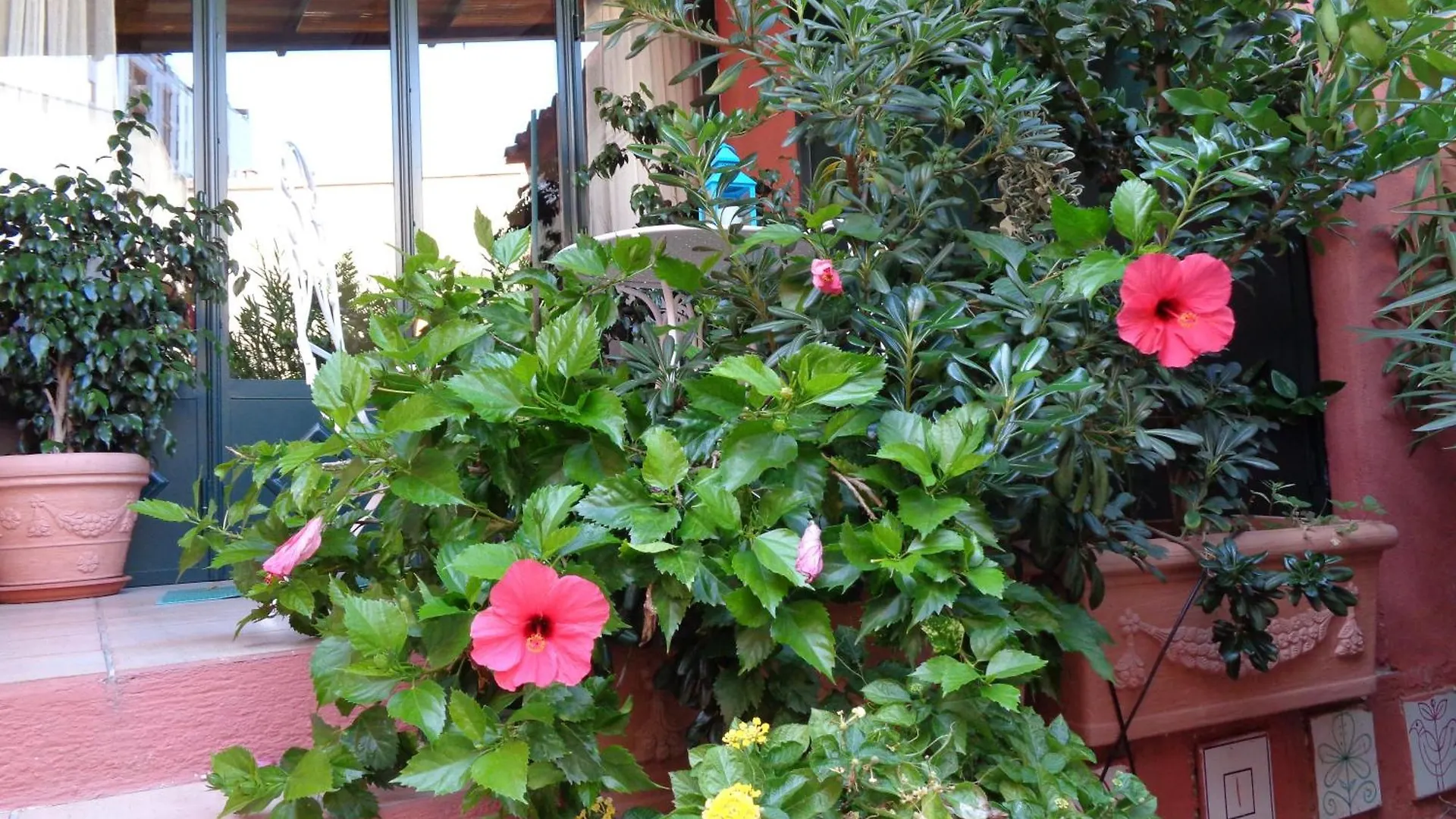 Apartamento Genius Loci Cozy House With Garden In The Old Town Olbia
