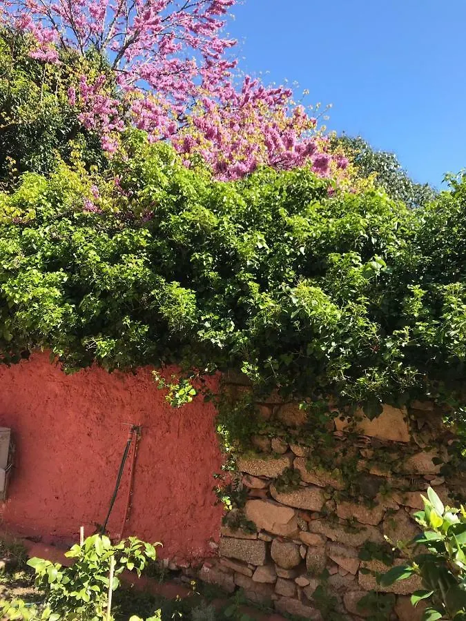 Apartamento Genius Loci Cozy House With Garden In The Old Town Olbia